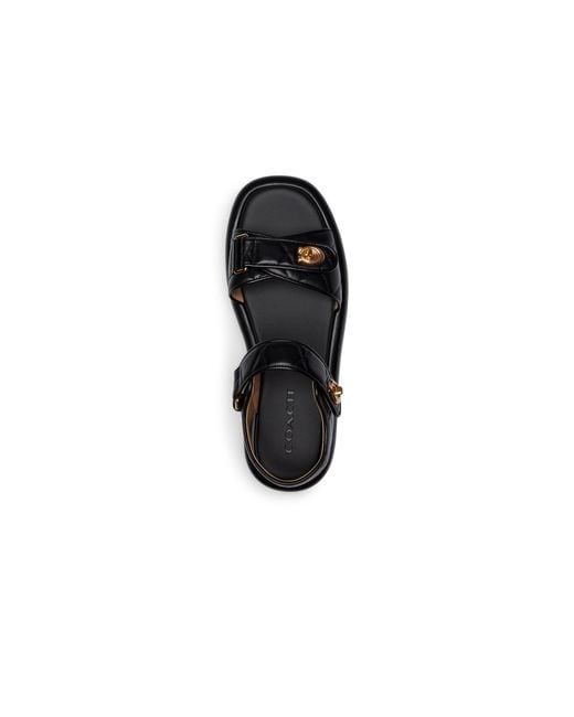 COACH Black Peyton Sandals
