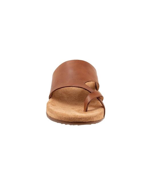 Softwalk® Brown Blaine (Luggage) Sandals