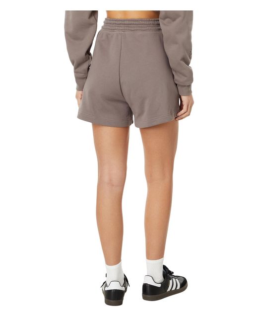 Adidas By Stella McCartney Brown Truecasuals Cropped Sportswear Sweatshirt It8278