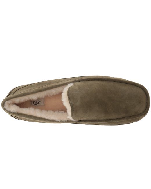 ugg ascot 42 ugg ascot 42