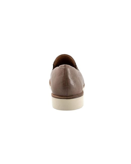 Softwalk® Brown Whistle Ii Flat Shoes 7.5 N (Aa)