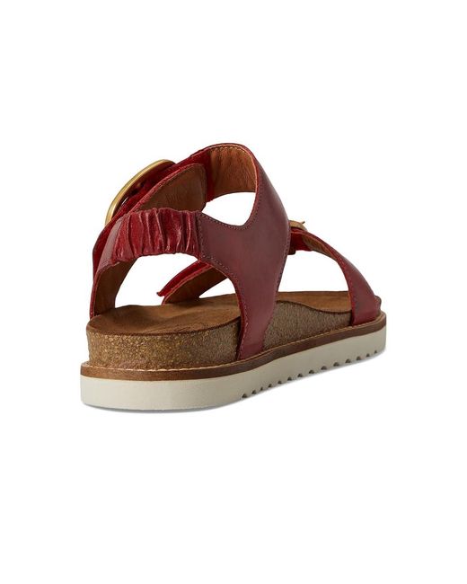 Taos Footwear Brown On The Double Sandals, Leather
