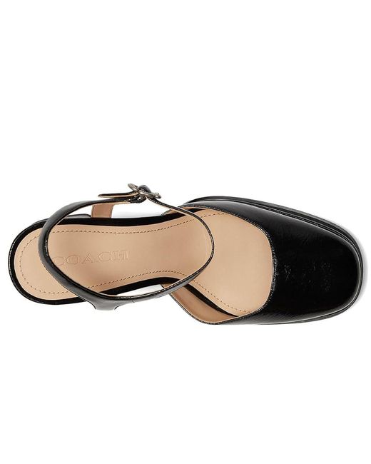 COACH Black Pump With Tea Rose High Heels, Leather