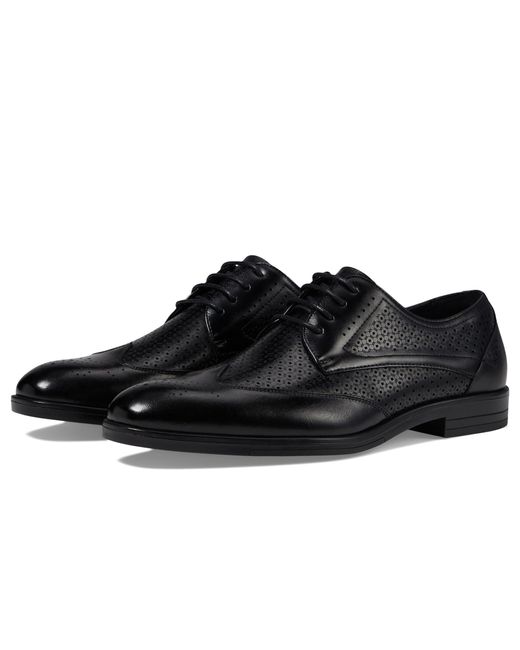 Stacy Adams Black Asher Wingtip Lace Oxford for men