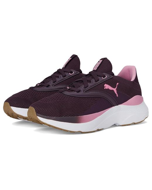 PUMA White Softride Mayve Running Shoes Running Shoes Midnight Plum/Mauved Out/ 9.5 B