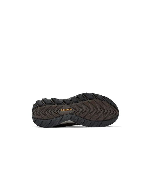 Columbia Black Strata Trail Low (Cordovan/Golden) Shoes for men