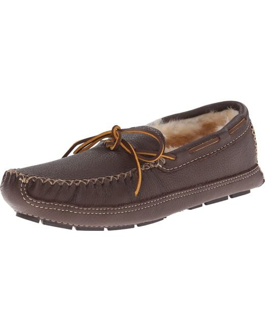 minnetonka moose