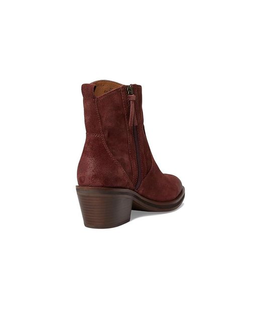 Söfft Brown Shaelynn Boots 8 M (B)