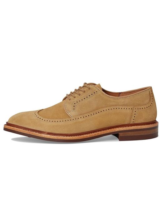 Allen Edmonds Multicolor Winstonmok Derby Shoes Shoes 11 D (M) Leather/Suede for men