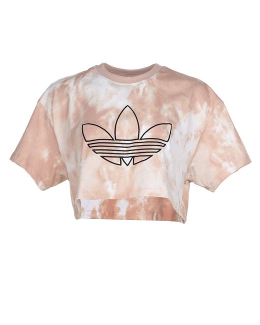 adidas Originals Crop T-shirt in Pink | Lyst