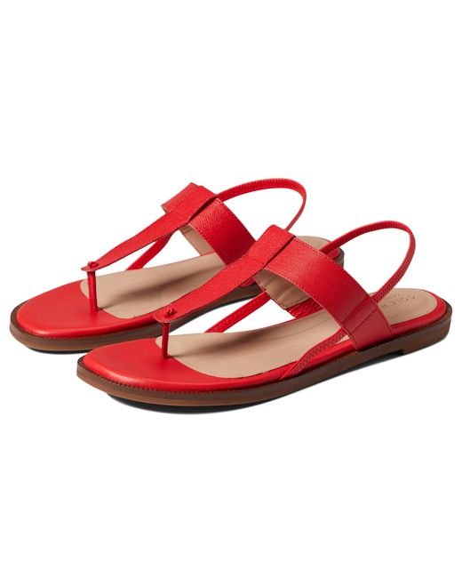 Cole Haan Winslet Thong Sandal in Red | Lyst