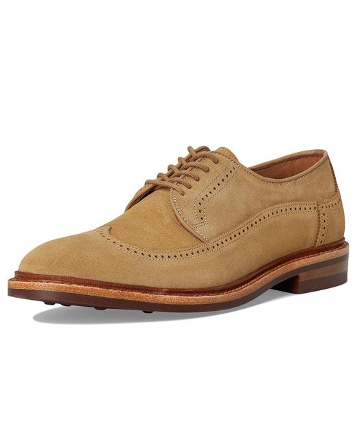 Allen Edmonds Multicolor Winstonmok Derby Shoes Shoes 11 D (M) Leather/Suede for men