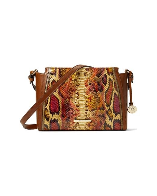 Brahmin Leather Bridgeport Hillary Crossbody in Brown Lyst