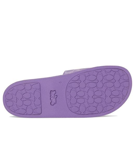COACH Purple Udele Sport Slide Flat Sandal
