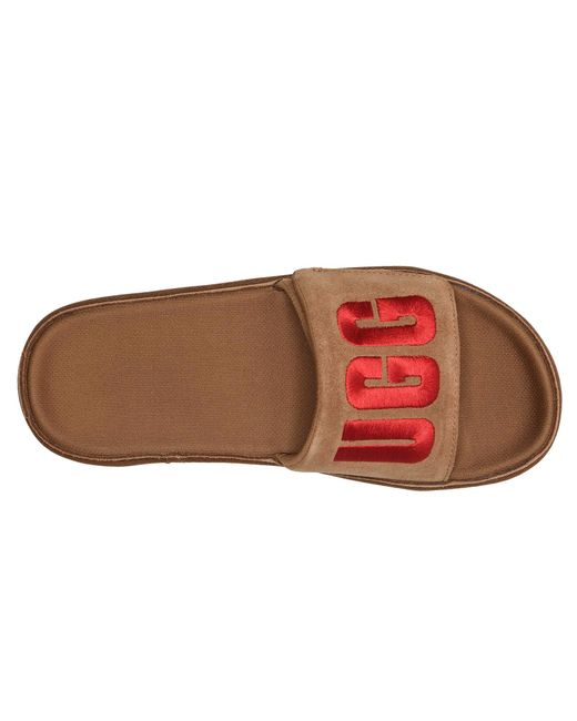 brown and red ugg slides