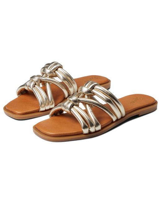 Sam Edelman circus sun kissed slides | Sam edelman, Edelman, Women shoes