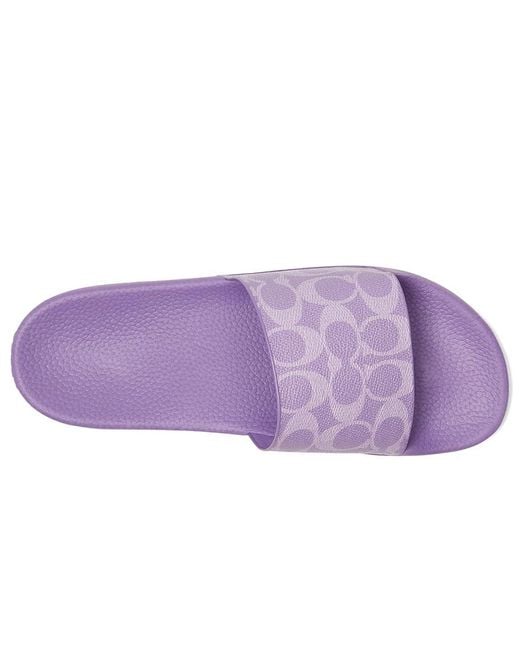 COACH Purple Udele Sport Slide Flat Sandal