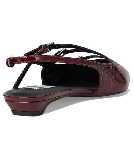Steve Madden Multicolor Peony Slippers
