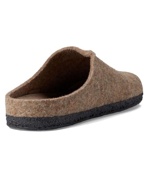 Taos Footwear Brown Wooled Class Shoes, Textile