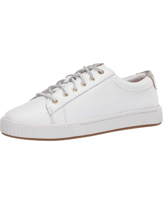 sperry anchor shoes