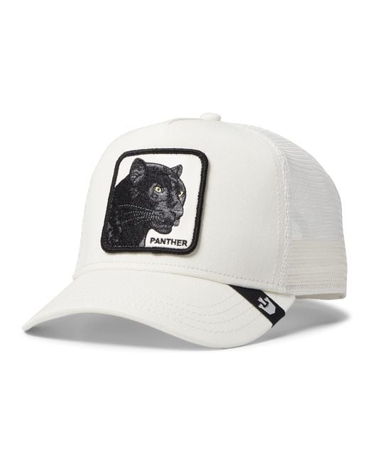 gorras goorin bros panther