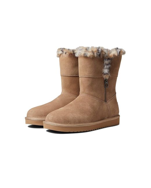 Ugg Brown Aribel Short (Amphora Leopard) Shoes