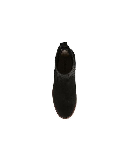 Blondo Black Darren Waterproof ( Suede) Shoes