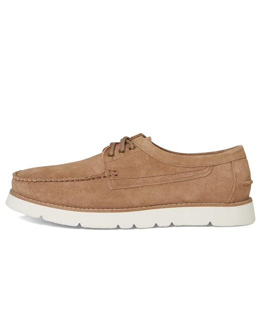 Steve Madden Multicolor Kolt Lace-Up Boots 9.5 D for men