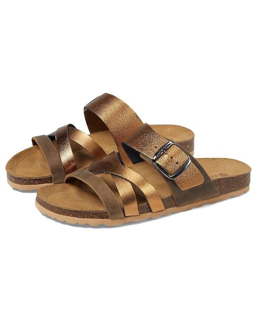 Eric Michael Multicolor Randy ( Combo) Sandals