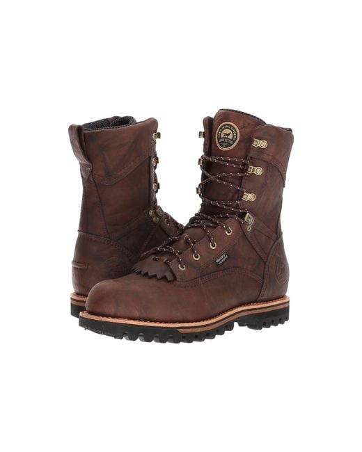 irish setter elk tracker irish setter elk tracker