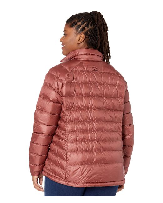ll bean goose down jacket