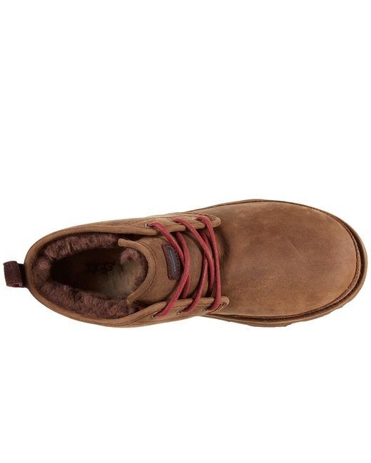 ugg neumel men's chestnut