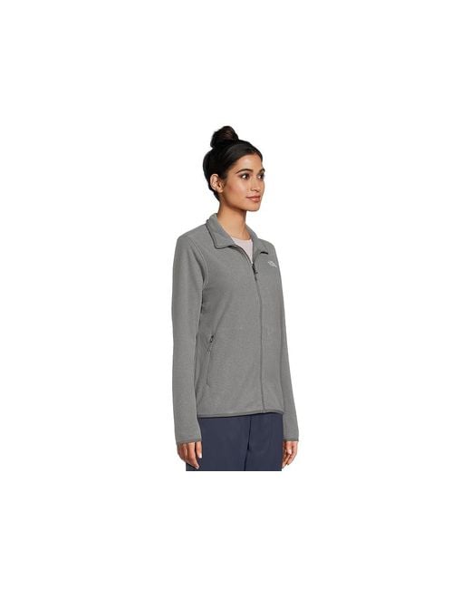 The North Face Gray Glacier Fleece Jacket Coat, Polyester