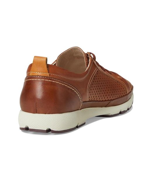 Pikolinos Brown Fuencarral M4A Shoes 1 Eu 41 (Us 7.5-8) D for men
