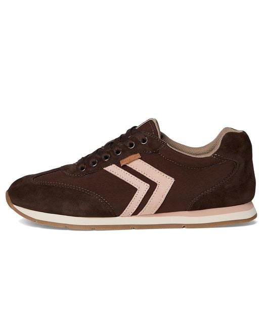 Dr. Scholls Brown Comeback Lace-Up Shoes Shoes, Leather/Synthetic
