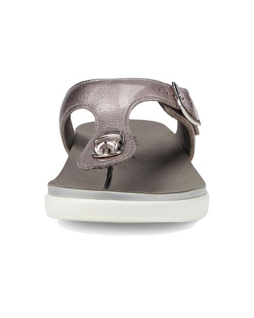 SAS Purple Sanibel Comfort Thong Sandal (Wisteria) Shoes