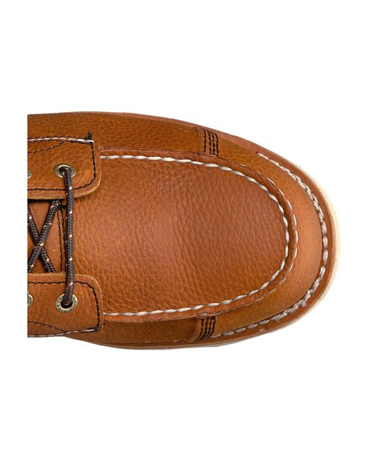 83832 irish setter