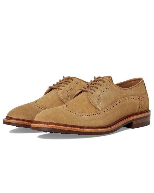Allen Edmonds Multicolor Winstonmok Derby Shoes Shoes 11 D (M) Leather/Suede for men