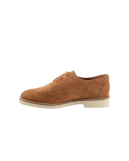Softwalk® Brown Willet Flat Shoes 10 M (B) Leather