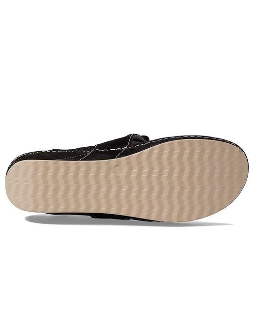 David Tate Black Garden ( Suede) Shoes