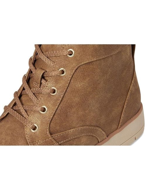 Dr. Scholls Brown Northstar Lace-Up Short Boots Boots, Synthetic