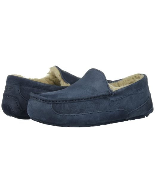 ugg ascot navy