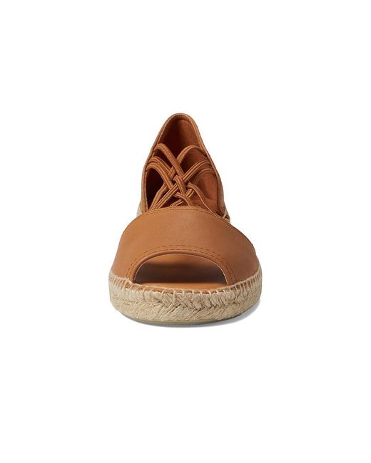 Toni Pons Brown Ebre-P ( Leather) Shoes
