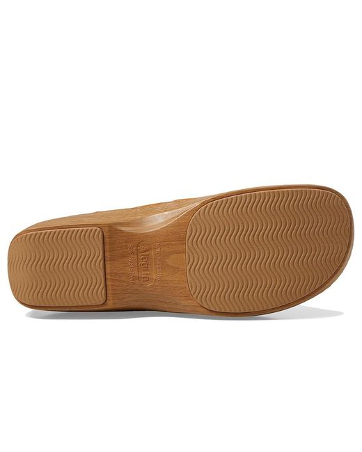 Alegria Brown Orygin (Punkin) Flat Shoes