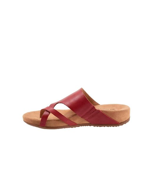 Softwalk® Red Blaine (Dark) Sandals