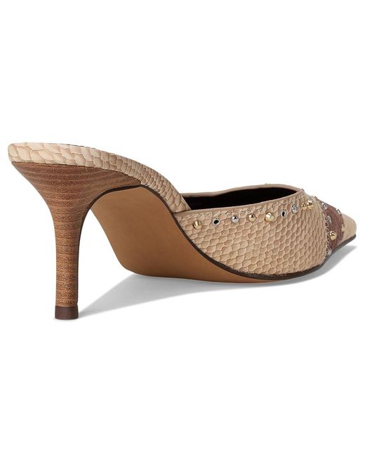Steve Madden Black Alexi Shoes, Synthetic