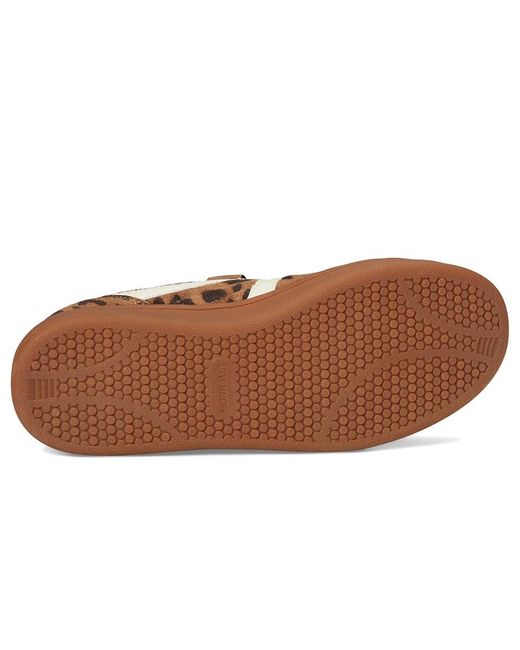 Steve Madden Brown Magik Sneaker