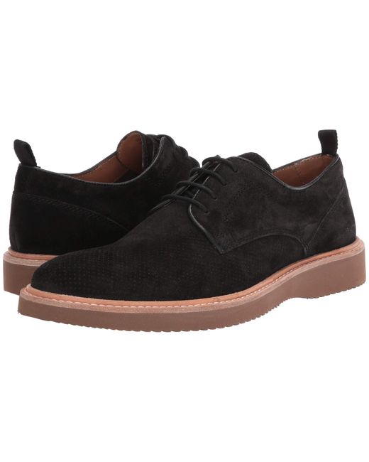 shoe carnival steve madden
