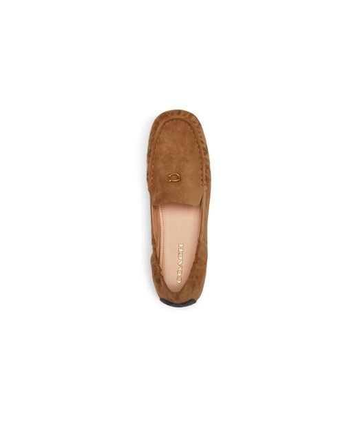COACH Brown Ronnie Suede Loafer
