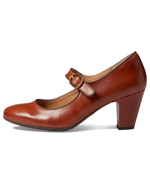 Söfft Brown Leslie (Cork) Shoes